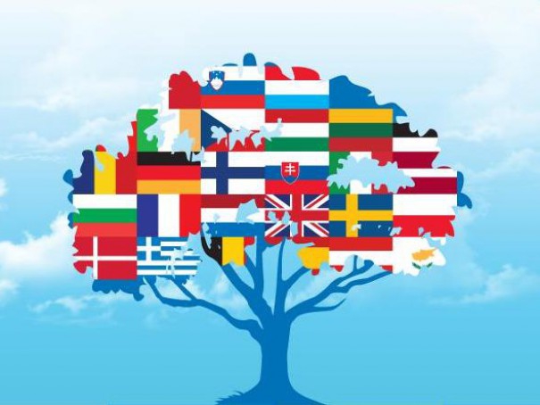 immagine lingue